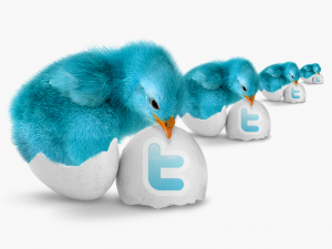 twitter