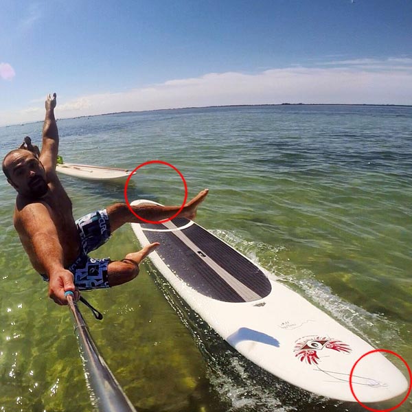 nose-tail-sup