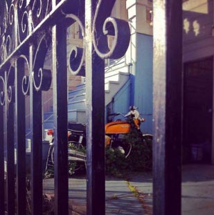 whp-instagram