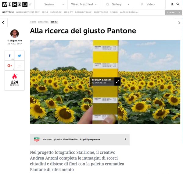 wired-stailtone-antoni